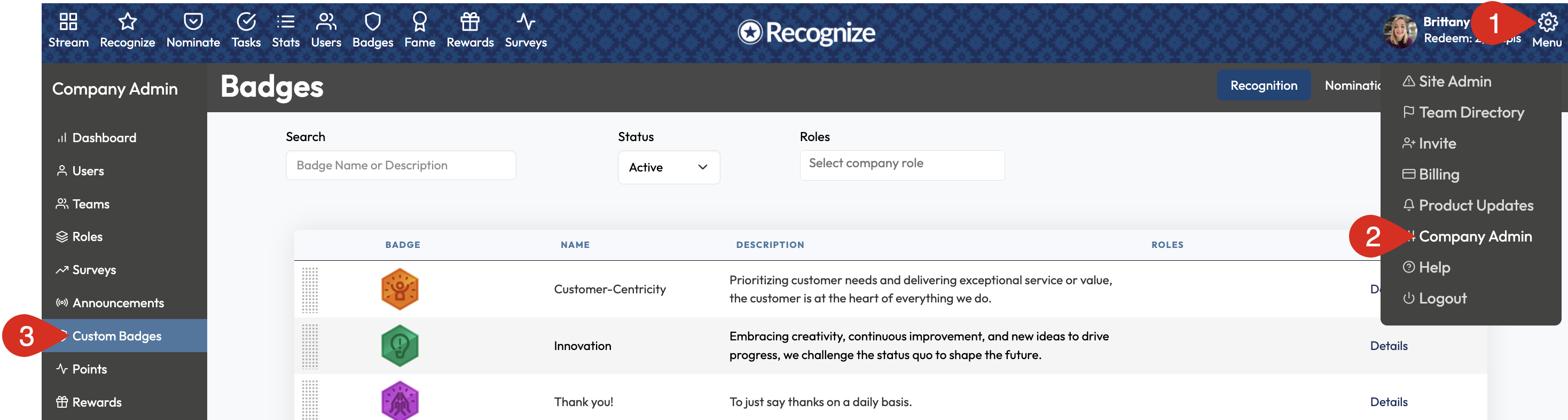 Custom Badges navigation and Questions menu
